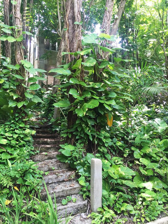 里奥格兰德Dos Aguas住宿加早餐旅馆 外观 照片